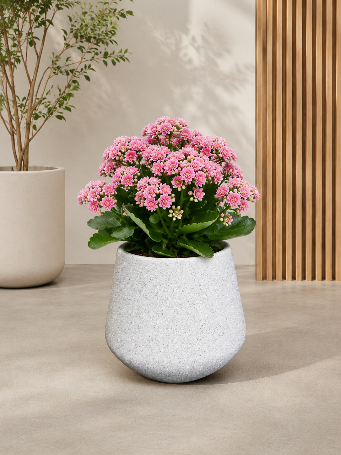 Ravello FRP Planter- Small - Premium Planter